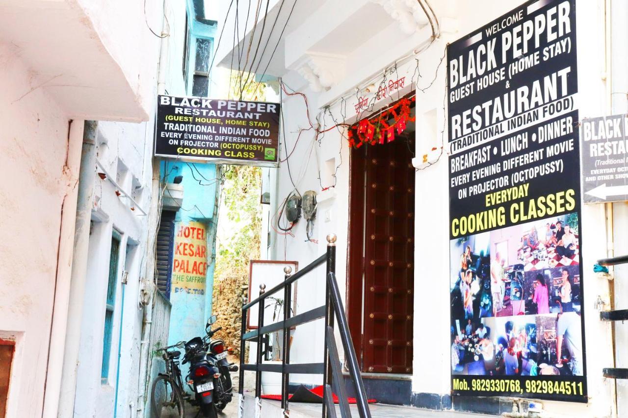 Black Pepper Home Stay Udaipur Dış mekan fotoğraf
